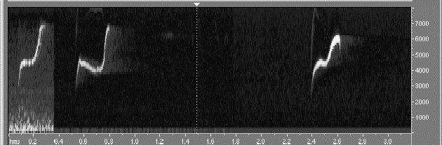 Spectrograph