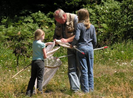 Butterfly-Net