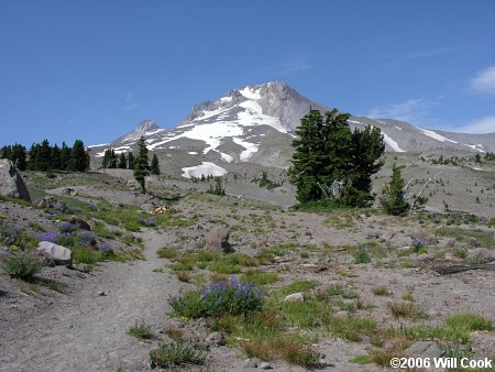 Mount Hood